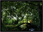Park, Mostek, Ławeczka