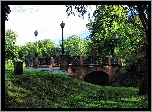 Park, Mostek, Drzewa