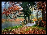 Mostek, rzeka, Park, Jesień