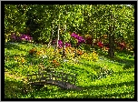 Park, Mostek, Kwiaty, Kwitnące, Krzewy, Drzewa, Trawa