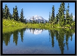 Jezioro, Tipsoo Lake, Góry, Odbicie, Drzewa Park Narodowy Mount Rainier, Stan Waszyngton, Stany Zjednoczone