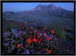 Wulkan, Mount St. Helens, Łąka, Noc, Gwiazdy