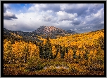 Jesień, Góry East Beckwith Mountain, Drzewa, Niebo, Chmury, Hrabstwo Gunnison, Stan Kolorado, Stany Zjednoczone