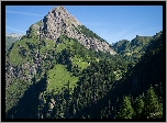 Szwajcaria, Góry, Alpy Lepontyjskie, Góra, Sosto Mountain, Skały, Drzewa, Krzewy, Trawa