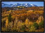 Góry, San Juan Mountains, Przełęcz, Dallas Divide, Jesień, Las, Drzewa, Kolorado, Stany Zjednoczone