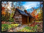 Stany Zjednoczone, Park Narodowy Great Smoky Mountains, Drzewa, Dom, Promienie słońca, Liście, Jesień