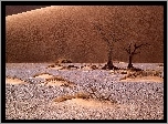 Namib, Afryka