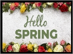 Kwiaty, Kolorowe, Róże, Napis, Hello Spring, Wiosna
