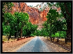 Stany Zjednoczone, Park Narodowy Zion, Stan Utah, Droga, Góry, Drzewa