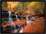 Rzeka, Park Narodowy Zion, Drzewa, Skały, Roślinność, Stan Utah, Stany Zjednoczone
