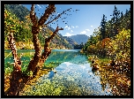 Chiny, Park Narodowy Jiuzhaigou, Jezioro Arrow Bamboo Lake, Góry, Las Drzewa
