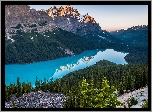Kanada, Park Narodowy Banff, Jezioro Peyto Lake, Góry Canadian Rockies, Lasy