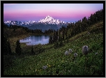 Stany Zjednoczone, Park Narodowy Mount Rainier, Góry, Mount Rainier, Jezioro, Tipsoo Lake, Drzewa
