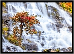 Jesień, Drzewo, Skały, Wodospad, Mae Ya Waterfall, Park Narodowy Doi Inthanon, Chiang Mai, Tajlandia