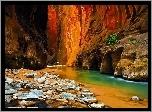Stany Zjednoczone, Stan Utah,  Park Narodowy Zion, Kanion, Rzeka Virgin River