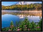 Park Narodowy Mount Rainier, Góry, Stratowulkan Mount Rainier, Drzewa, Świerki, Kwiaty, Mgła, Jezioro, Reflection Lake, Odbicie, Stan Waszyngton, Stany Zjednoczone