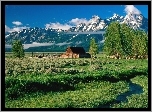 Stany Zjednoczone, Stan Wyoming,  Park Narodowy Grand Teton, Góry Teton Range, Drewniany, Budynek, Drzewa, Strumyk