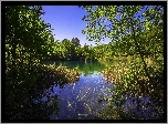 Chorwacja, Park Narodowy Jezior Plitwickich, Jezioro, Zieleń,  Trawa, Drzewa, Krzewy, Niebo
