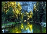 Stany Zjednoczone, Stan Kalifornia, Park Narodowy Yosemite, Góry, Lasy, Rzeka