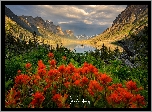 Góry, Jezioro, Saint Mary Lake, Drzewa, Kwiaty, Chmury, Park Narodowy Glacier, Kanada