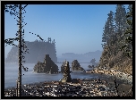 Stany Zjednoczone, Stan Waszyngton, Park Narodowy Olympic, Ruby Beach, Wybrzeże, Skały, Drzewa