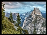 Stany Zjednoczone, Stan Kalifornia, Park Narodowy Yosemite, Góry, Szczyt Half Dome, Drzewa