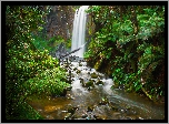 Wodospad, Hopetoun Falls, Park Narodowy Great Otway, Skały, Rzeka, Rośliny, Paprocie, Stan Wiktoria, Australia
