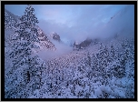 Zima, Śnieg, Góry, Drzewa, Mgła, Park Narodowy Yosemite, Kalifornia, Stany Zjednoczone