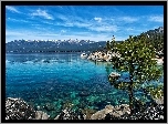 Nevada, Góry, Jezioro, Tahoe, Kamienie, Sosna
