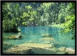Niebieskie, Jezioro, Kamienie, Las, Szwajcaria