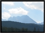 Góry, Niebo, Las