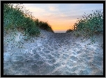 Niebo, Plaża, Morska, Trawa