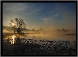 Poranek, Wschód słońca, Mgła, Niebo, Rogaliński Park Krajobrazowy, Rogalin.