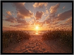 Plaża, Zachód Słońca, Niebo, Chmury, Trawa, Plaża, Niebo