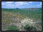 Łąka, Wyżyny, Niebo, Chmury