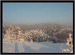 Las. Śnieg, Cień