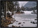 Las, Śnieg, Góry