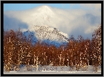 Zima, Śnieg, Drzewa, Wulkan, Awaczyńska Sopka, Kamczatka, Rosja