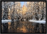 Rzeka, Śnieg, Drzewa