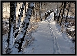 Zima, Śnieg, Park, Drzewa, Drewniany, Most, Ślady
