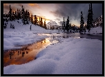 Zima, Śnieg, Jezioro Tipsoo Lake, Góry, Stratowulkan Mount Rainier, Drzewa, Zachód słońca, Park Narodowy Mount Rainier, Stan Waszyngton, Stany Zjednoczone