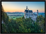 Niemcy, Bawaria, Zamek Neuschwanstein, Drzewa, Las