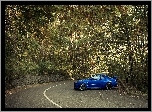 Nissan 350Z, Tuning, Droga, Las