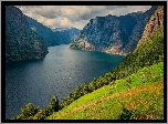 Zielone, Wzgórze, Drzewa, Góry, Fiord, Aurlandsfjord, Gmina Aurland, Norwegia