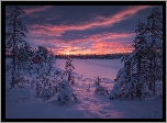 Zima, Drzewa, Dom, Zaśnieżone, Jezioro, Chmury, Zachód słońca, Ringerike, Norwegia