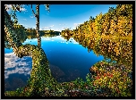 Jezioro, Norwegia, Jezioro, Drzewo, Lasy, Jesień, Odbicie