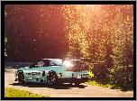 Honda NSX, Droga, Las, Promienie, Słońca, Jesień
