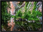 Stany Zjednoczone, Arizona, Sedona, Skały, Wąwóz, Oak Creek, Rzeka, Drzewa, Roślinność
