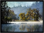 Obraz, Las, Jezioro, Drzewa
