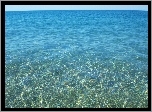 Ocean